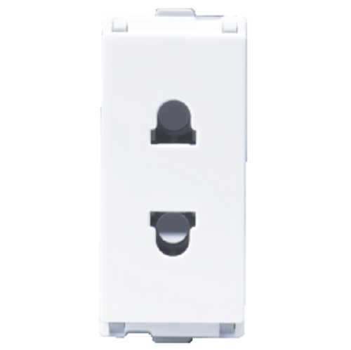 LT Entice  6Amp, 2 Pin Socket with shutter ,1 Module- White