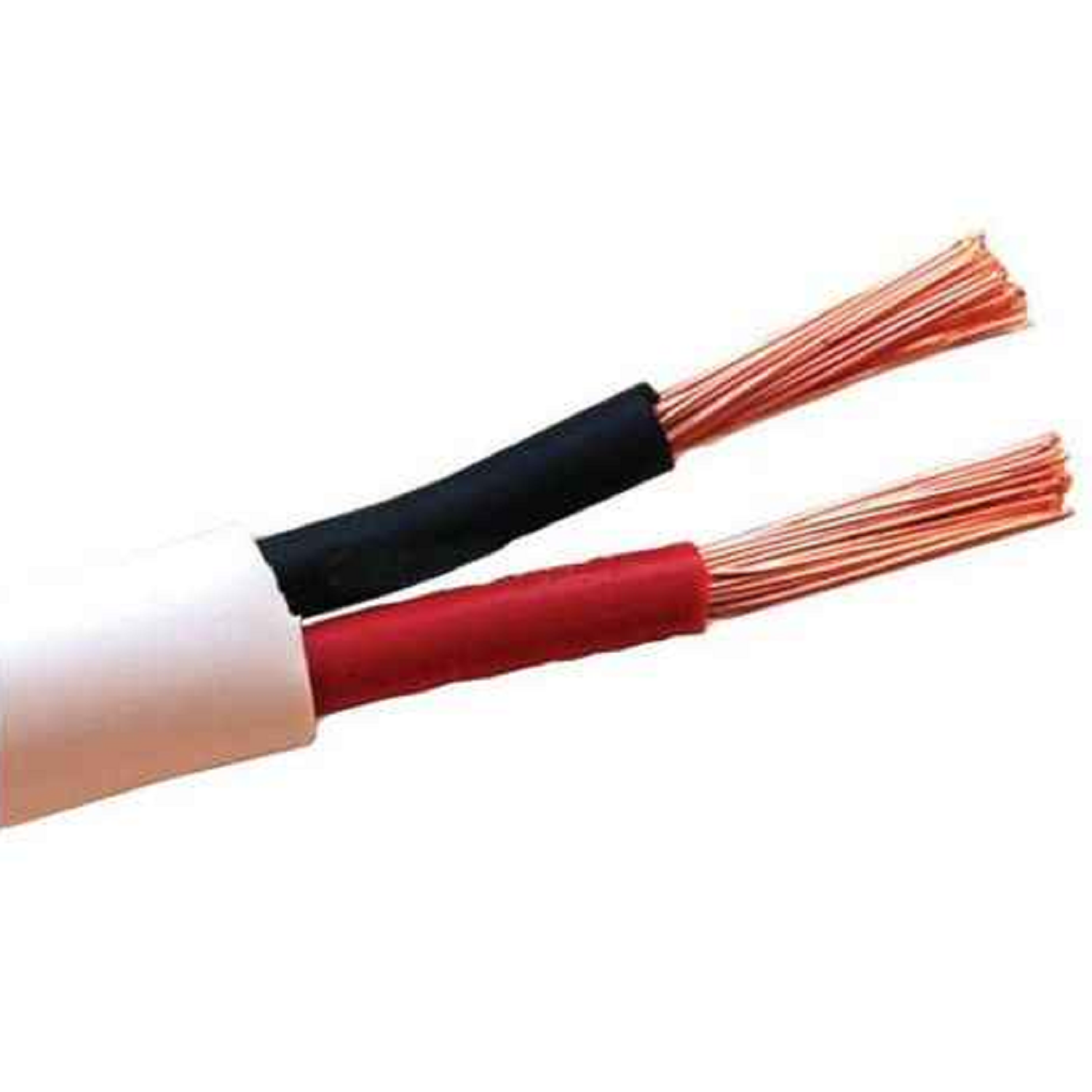 Speaker Cable Polycab (4038)